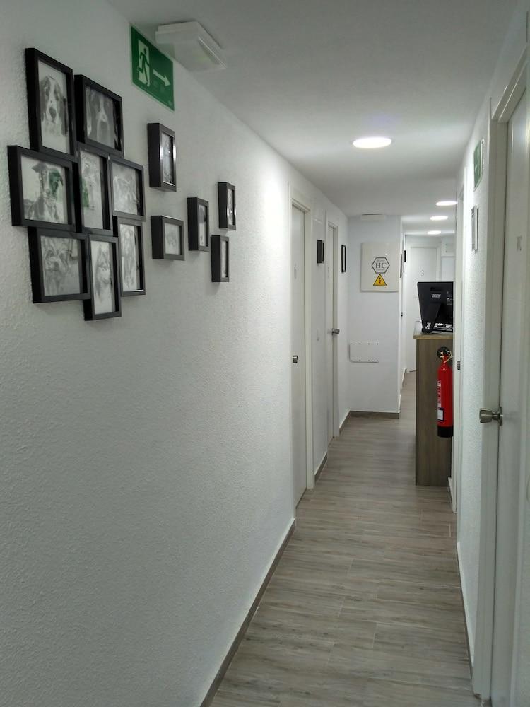 Guesthouse Central Аликанте Екстериор снимка